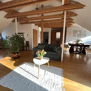 Grosse Mit Dachterrasse In Apartment